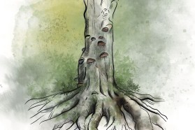 The upper Neretva is nestled among beautiful forest.